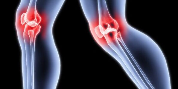 Knee joint