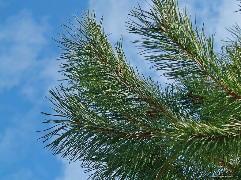 Acupuncture to treat cervical osteochondrosis