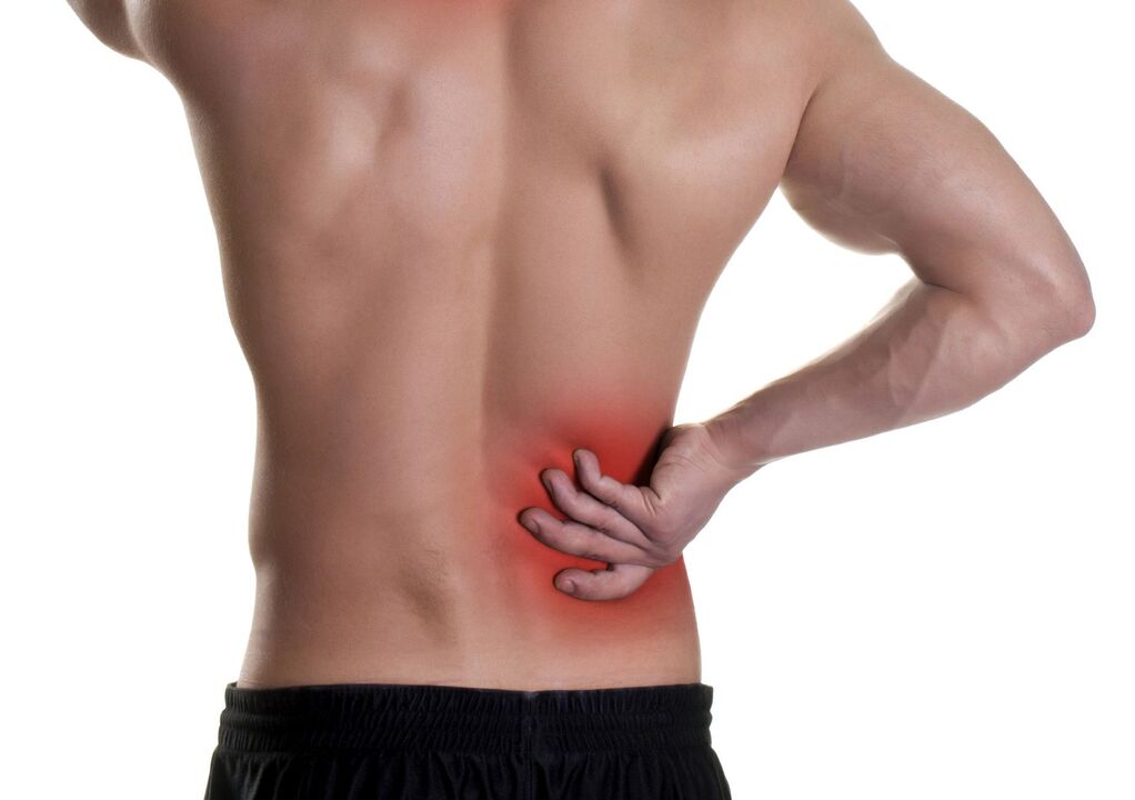 Causes of low back pain