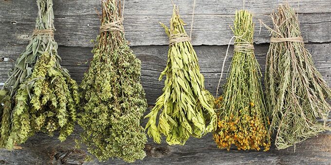 Herbal remedies for shoulder joints